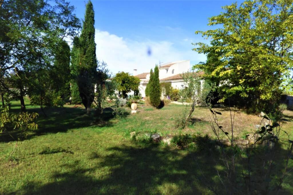 Ibis - Villa Avec Piscine, Jardin Et Parking Αρλ Εξωτερικό φωτογραφία